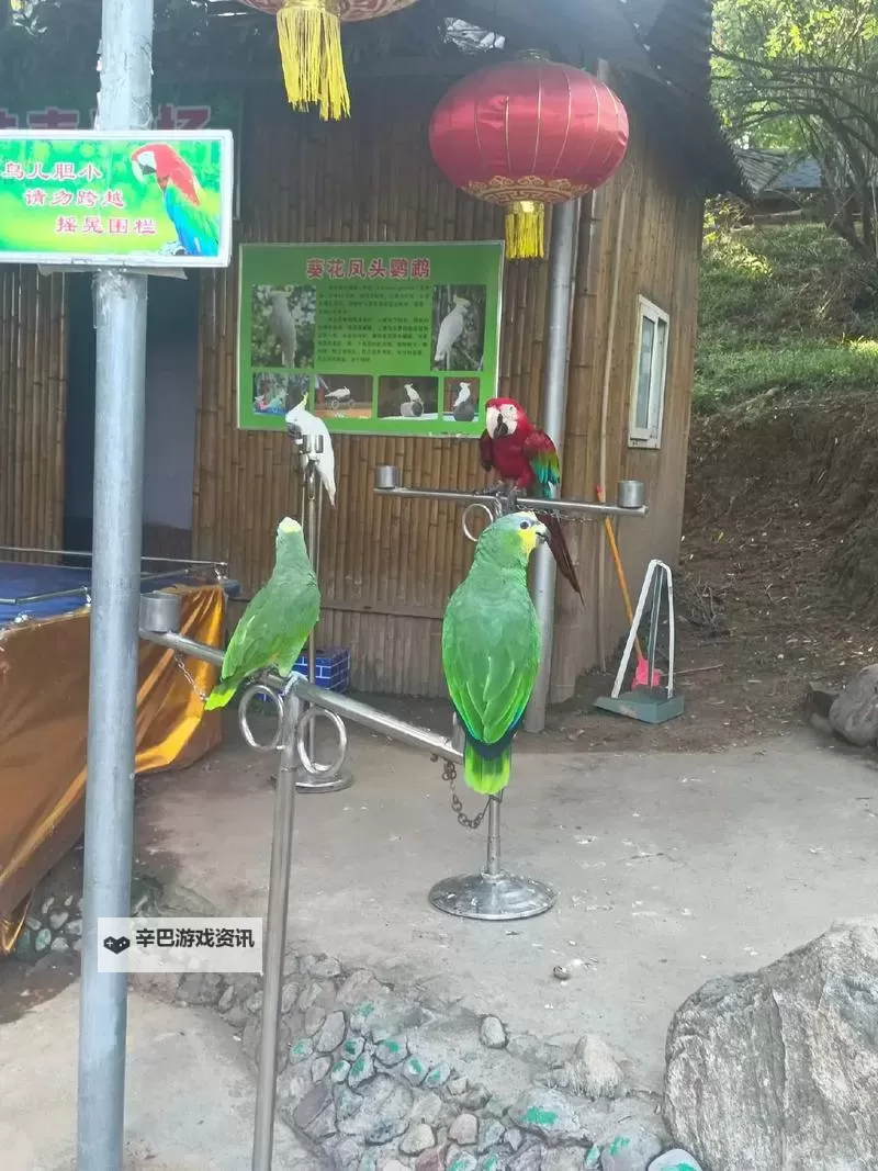 探索另类风景：色性色农村人动物园的奇趣之旅图1