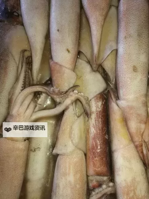 鱿鱼网进入官网BY2282:最新登录指南与常见问题解答图1