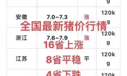 2024最新版：免费行情网站9.1全面评测与推荐