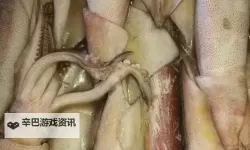 鱿鱼网进入官网BY2282：最新登录指南与常见问题解答