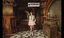 《上古卷轴5》MOD下载合集 服装美化MOD分享