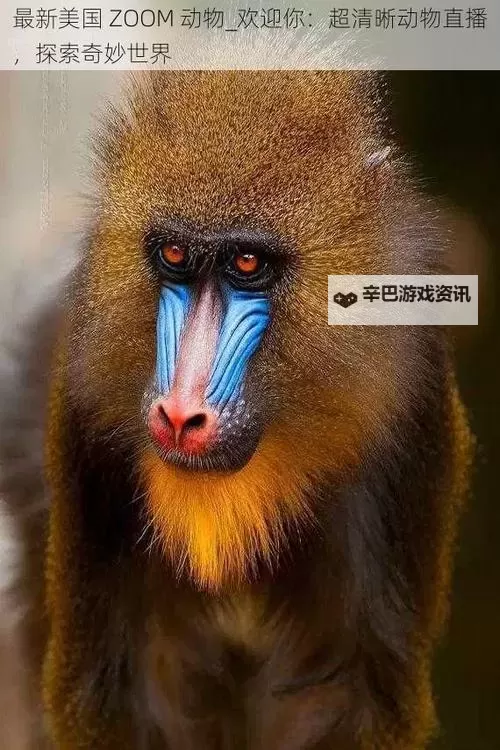 探索最新美国ZOOM动物：欢迎你的精彩世界图1