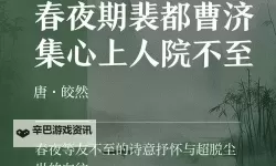 《夜夜弄夜夜弄夜夜春天天爽：春日夜色中的欢愉时光》