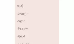 小明最新地域网名免费搜：最全查询指南推荐