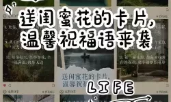 如何使用祝福留言代码传达温暖与关怀