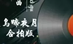 探索夜月黄色版本：独特魅力与设计解析