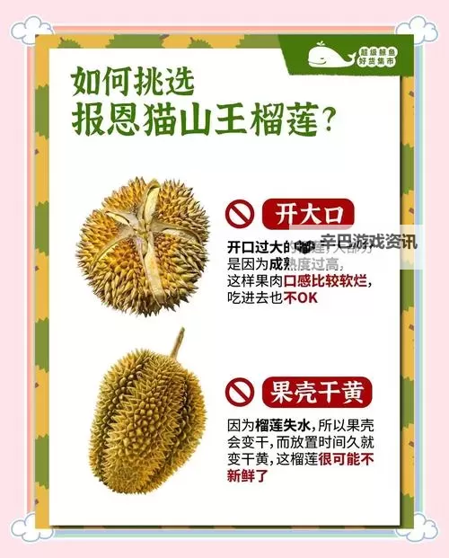 草莓榴莲向日葵：18岁站长推荐的青春奇遇记图1