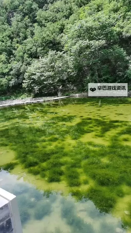 跨越我的尸体2 通关及金杯任务心得 实用技巧图1