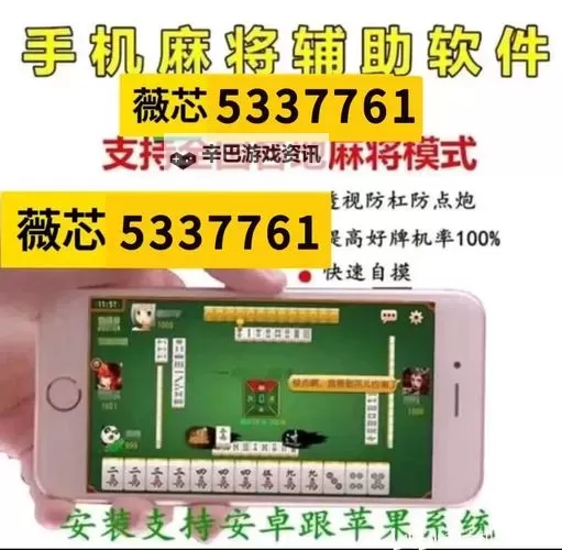 闪闪跑得快双开挂机软件推荐  怎么双开闪闪跑得快详细图文教程图2