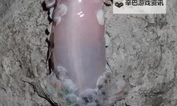 遇到危险就裸奔的壁虎：勇敢面对挑战的自然奇观