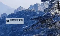 中国男同志：探索多元爱情的多彩世界