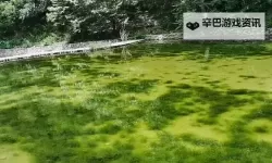 跨越我的尸体2 通关及金杯任务心得 实用技巧