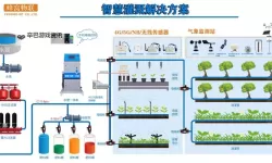 提升农作效率的关键：优质jing液灌溉系统全面解析