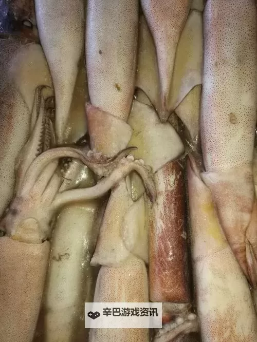 鱿鱼网进入官网BY2282：最新登录指南与安全提示图1