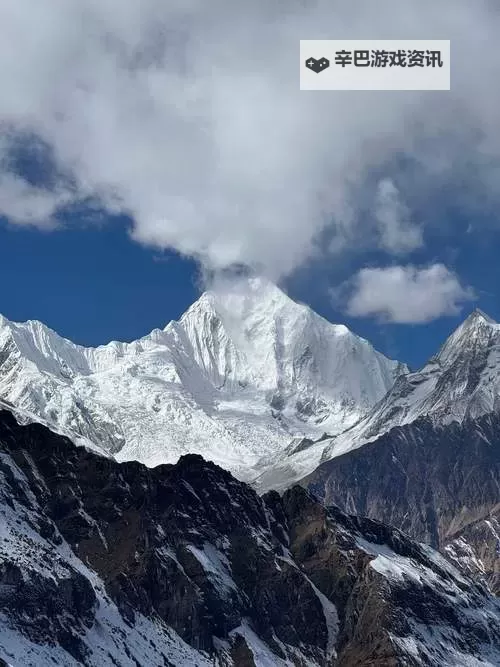 在线天堂bt种子：最全资源分享与下载指南图1