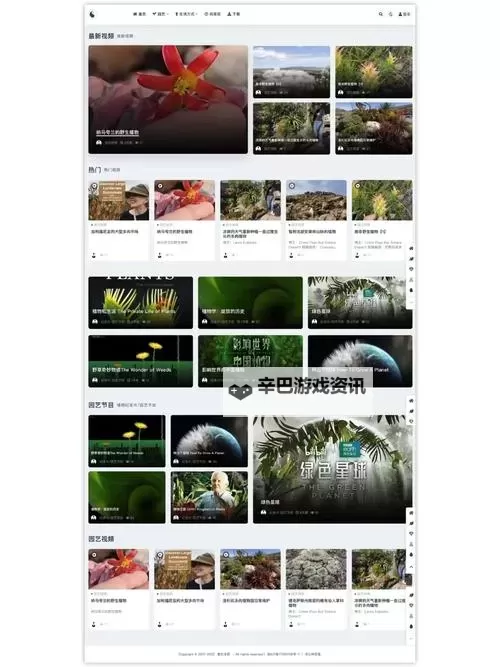 探索市场：有没有H的网站及其潜在影响图1