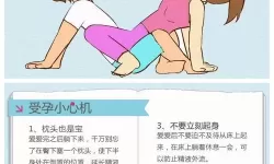 探索植物繁殖奥秘：在床上的72种扦插方法全攻略