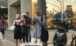 探索奇幻之旅：仙踪林在线入口欢迎你