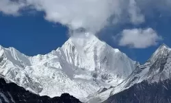 在线天堂bt种子：最全资源分享与下载指南