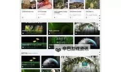 探索市场：有没有H的网站及其潜在影响