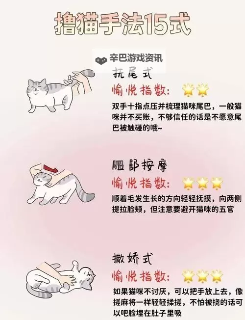 猫咪大陆怎么双开、多开？猫咪大陆双开助手工具下载安装教程图2