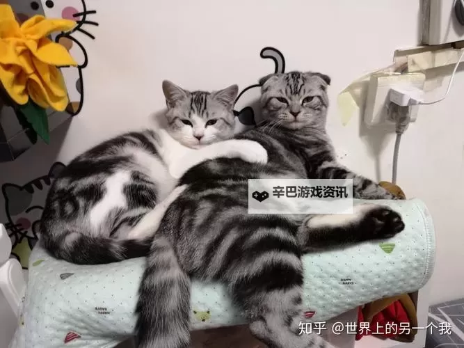 坐在上面摇是一种什么体验知乎：揭秘精彩瞬间与感官刺激图1