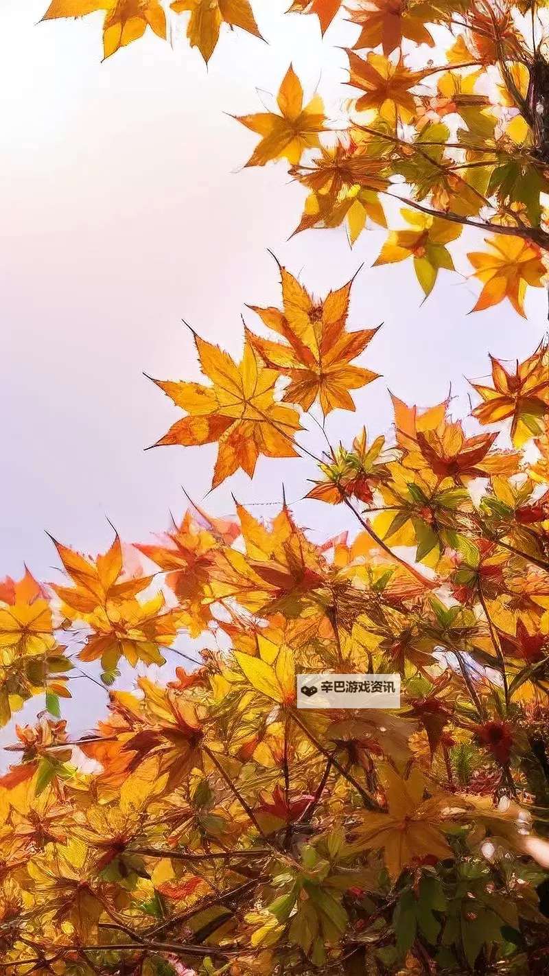 揭秘中国黑帮老大排名：最新权力格局大盘点图1