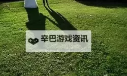 探索无限可能：影子资源网的精彩世界
