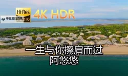 最新完整指南：最好看的最新中文字幕1推荐排行榜