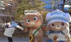 探秘众神殿小熊的神秘传说：勇者的冒险之旅