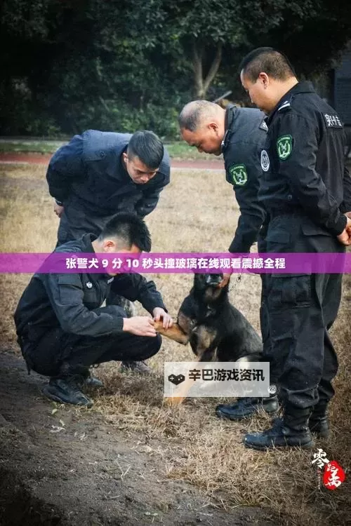 【视频揭秘】张警官撞玻璃仅用9分10秒,现场反应令人震惊图1