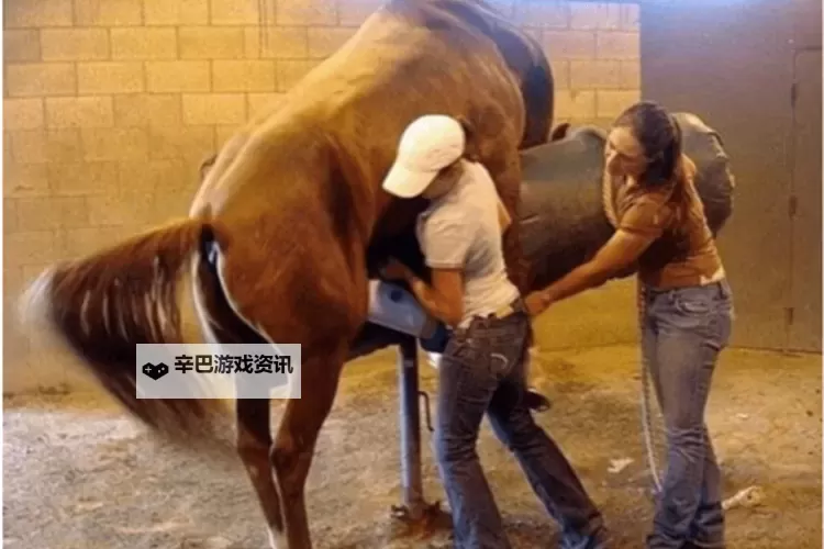 探索最新曰批免费视频资源,丰富你的观看体验图1