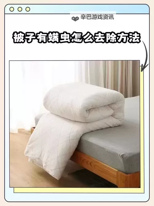 在被子里怎么自己玩自己无声：打造私密的安静时光图1