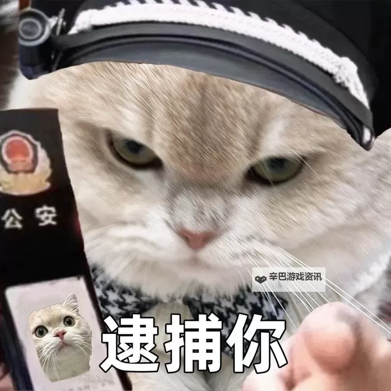 主人，求您关掉开关吧：一段心怀叮咛的温情时刻图1