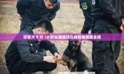 【视频揭秘】张警官撞玻璃仅用9分10秒，现场反应令人震惊