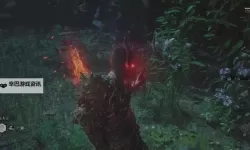 《黑神话悟空》快速刷玲珑内丹教程 怎么刷玲珑内丹