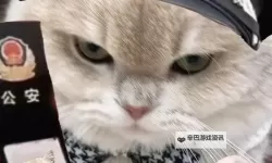 主人，求您关掉开关吧：一段心怀叮咛的温情时刻