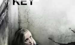 三年大片在线观看大全：万能钥匙畅享无尽经典影视盛宴