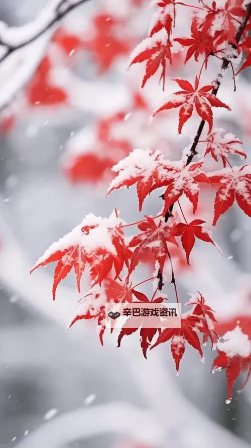 《无主之地3》普罗米西亚所有地点位置图1