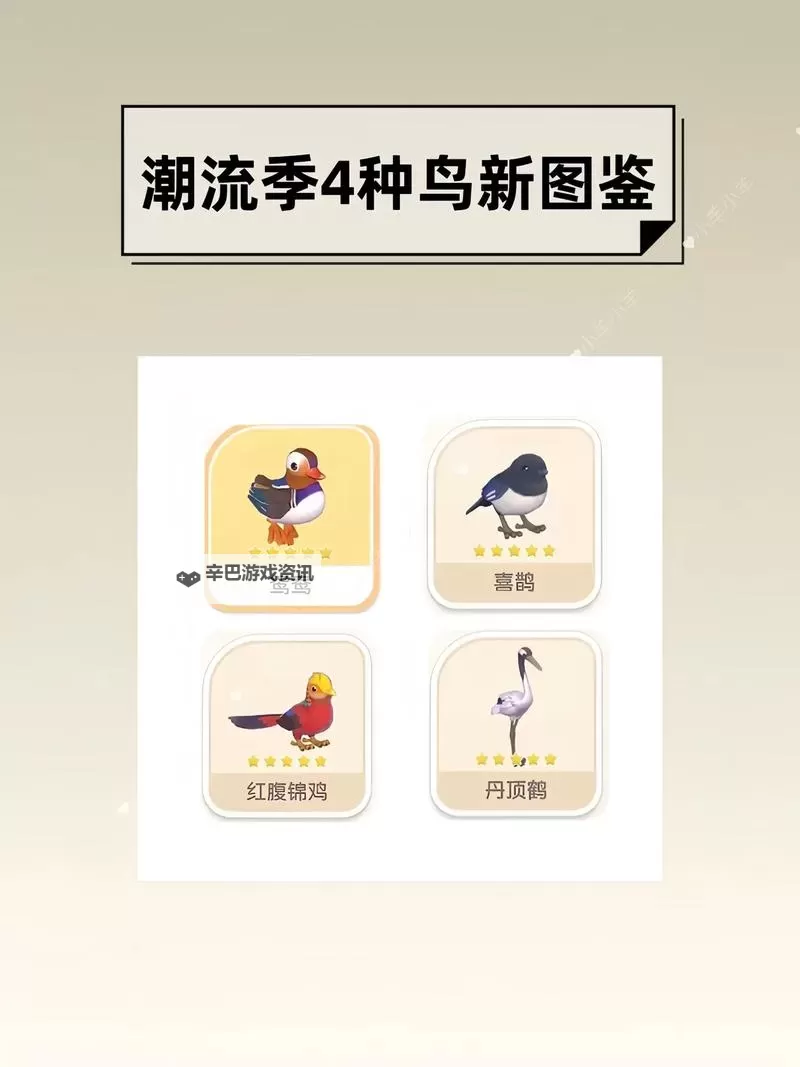 《心动小镇》白腰朱顶雀位置说明 白腰朱顶雀在哪出现图2