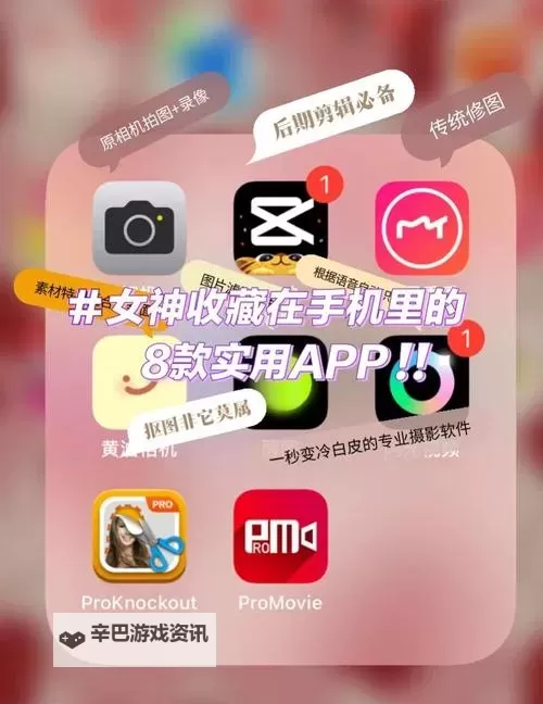 女神国度怎么双开  女神国度双开挂机软件推荐图2