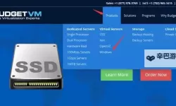 中国精品V8VPSWINDOWS入口：安全稳定的优质云服务器推荐