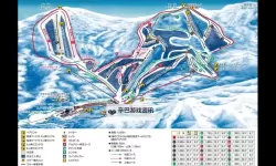 《极限巅峰》自由滑雪技巧与各赛事规则介绍