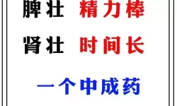 探索中国体内精汇编3：揭秘人体奥秘的终极指南