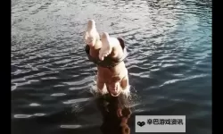 人人草人人看人人摸：揭示网络上的真实与虚假