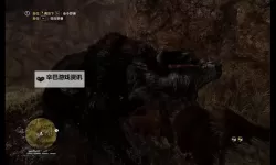 《孤岛惊魂原始杀戮》动物驯服方法及特点 动物怎么驯服