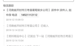 掌握快递动态：邮政物流单号查询指南