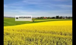 《炉石传说》世界之树迷你包首日TOP5卡组 灌注猎卡组分享