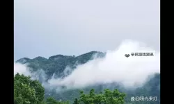 在街上他突然按了遥控器作文：意想不到的奇遇