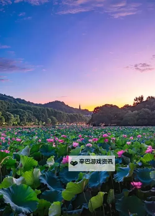 日本一级PPT怎么做免费模板:实用教程与免费资源推荐图2